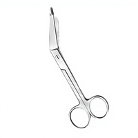 Ciseaux à pansements Lister A.S. AMPEX Volgocare International, instrument de classe I, kit chirurgical de qualité supérieure pour infirmières