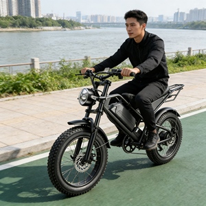 Bicicleta Compacta para Adultos, Ideal para Desplazamientos Urbanos, Venta al Por Mayor - Product Image 3