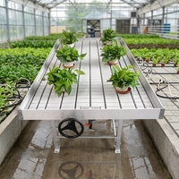Serre agricole grande taille multi-travées HANGDI avec système hydroponique et bacs de semis à flux et reflux pour culture verticale intérieure roulante