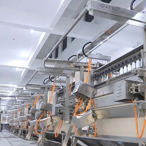 Raniche Small Scale 300 800bph Unidad automática de sacrificio de patos 500 Bph Equipo de procesamiento de sacrificio - Product Image 2