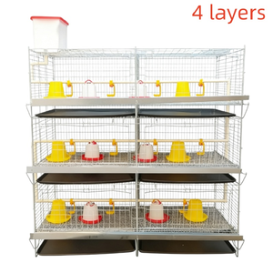 Jaula para Pollos Tipo H con Diseño Automatizado para Ahorrar Espacio y Mejorar la Productividad Agrícola - Product Image 3