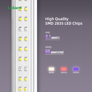 Tốt nhất phát triển đèn <span class=keywords><strong>LED</strong></span> <span class=keywords><strong>Flex</strong></span> Clone <span class=keywords><strong>LED</strong></span> 18W 36W Clone <span class=keywords><strong>LED</strong></span> phát triển ánh sáng T5 T8 Batten nhái 2 cái một bộ - Product Image 2