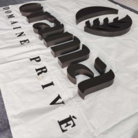 Lettres en relief artistiques modernes : signalétique 3D de haute qualité à finition noire pour les murs de marques de luxe