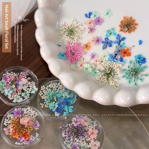 Accesorios para <span class=keywords><strong>Uñas</strong></span> TSZS, Flor Seca Natural de Cinco Pétalos <span class=keywords><strong>con</strong></span> Perla, Decoración de <span class=keywords><strong>Uñas</strong></span> Floral Pequeña Ultrafina para DIY - Product Image 4