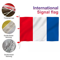 Bandera de código personalizada para velero, artículo promocional, Bandera de señal