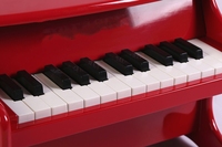 Wooden Mini Mechanical Piano 25 Keys Educational Music Instrument Upright with E0 Density Board 8kg Multi-color