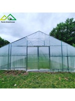 Serre tunnel agricole à simple travée de petite taille avec structure en acier galvanisé pour la culture de fruits à haute efficacité
