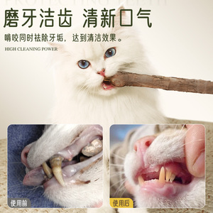 Bâton à mâcher extra long en Polygonum pour chat, 48 cm, pour le nettoyage des dents des chatons et l'auto-entretenissement des animaux de compagnie - Product Image 5