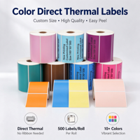 Étiquettes thermiques directes couleur 100x50mm, rouleau de papier thermique multicolore auto-adhésif, 500 étiquettes/rouleau pour imprimante d'étiquettes d'expédition