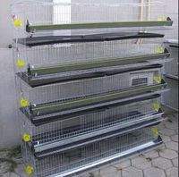 Cage à Cailles Direct Usine - Cage d'Élevage de Cailles à 5 Niveaux, Bâtiment d'Élevage de Volaille