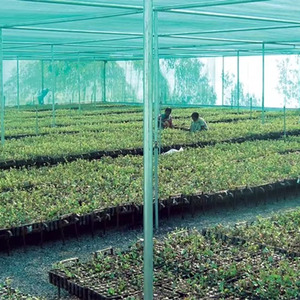90 Percent Green Shade Net Shade Cloth <strong>Netting</strong> Mushroom Shade Net for Agriculture - Product Image 6