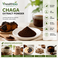 Poudre d'extrait de Chaga pure naturelle à mailles fines, structure de particules uniforme, en stock, livraison rapide pour les commandes industrielles à grande échelle