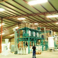 Machine de fabrication de farine de maïs 50T pour la Zambie, le Kenya, l'Ouganda et l'Éthiopie