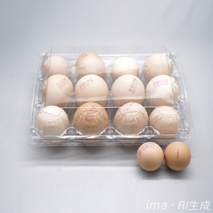 Shengyyuan ถาดใส่ไข่ไก่แบบใช้แล้วทิ้งแบบใส10 12 15 18 20 25 30ช่องถาดใส่ไข่พลาสติก - Product Image 6