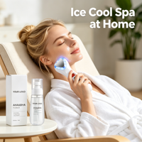 Marteau de massage facial à glace, compresse chaude et froide, appareil de beauté, ensemble de vaporisation hydratante, coffret cadeau de soins de la peau, outil de refroidissement