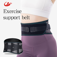 Ceinture de Soutien Lombaire Ajustable en Gros pour Usine, avec 4 Bandes de Soutien Souples et Maille Respirante, Idéale pour le Travail, le Sport et le Fitness