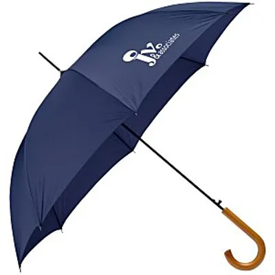 New Design Traditional Auto Open Umbrella