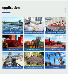 Biogas xử lý nước thải <span class=keywords><strong>Pam</strong></span> Polyacrylamide xuất khẩu chuyên nghiệp nhà cung cấp <span class=keywords><strong>Polymer</strong></span> Anion Polyacrylamide (apam) - Product Image 3