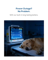 Moniteur patient multiparamétrique portable de haute qualité pour animaux, moniteur vétérinaire Etco2
