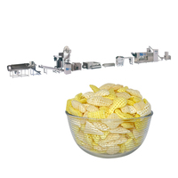 Ligne de production automatique de snacks 2D et 3D, extrudeuse de granulés 2D et 3D, équipement de transformation alimentaire
