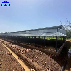 Estructura de Acero Prefabricada para Establos de Ganado, Estructura de Acero Q235B, 40 m de Vano Libre para Establos de Vacas en Senegal - Product Image 6