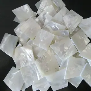 2mm Thickness Seashell Blank 15mmx15mm Natural Square Mother of Pearl Sheet Perfect for Decoration and Jewelry