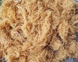 Eucheuma Cottonii Zeewier Hoge Kwaliteit Uit Vietnam/Ms.Thi Nguyen + 84 988 872 713