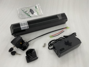 <span class=keywords><strong>Batterie</strong></span> au lithium de haute qualité 36V <span class=keywords><strong>48V</strong></span> Reention Dorado Plus pour vélo électrique, pack de <span class=keywords><strong>batterie</strong></span> pour moteur Bafang, <span class=keywords><strong>batterie</strong></span> de vélo électrique NCM Moscow - Product Image 3