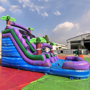 Toboggan aquatique gonflable tropical pour enfants, pour fêtes en plein air, usage commercial, avec zone de jeux aquatique. - Product Image 2