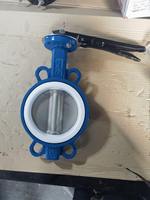 Katup Kupu-kupu Wafer DI/SS304 100mm 200mm Segel Liner EPDM/PTFE ANSI 150LB Aman untuk Air Dioperasikan dengan Tuas Tangan/Roda Rantai/Aktuator