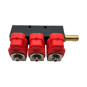 汽车燃油喷射设备气体压缩机<span class=keywords><strong>3</strong></span>缸液化石油气Cng喷油器导轨，用于转换系统 - Product Image 4