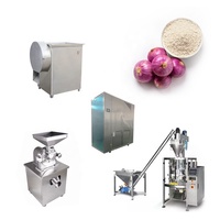 Continue Automatisering Ui Poeder Maken Lijn Ui Poeder Productielijn 100-1500 Kg/u Ui Poeder Verwerking Productielijn