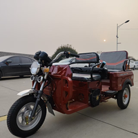 Scooter électrique léger et flexible à trois roues pour passagers, avec garde-corps de sécurité et cadre robuste pour une utilisation quotidienne.
