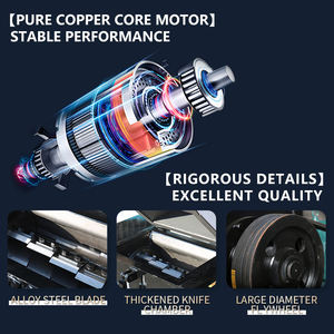 Trituratore di Plastica Lesintor, Piccola Macchina per Riciclaggio, Trituratore/Macinatore/Frantumatore di Plastica in Vendita - Product Image 2