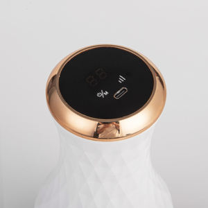 Appareil <span class=keywords><strong>de</strong></span> <span class=keywords><strong>massage</strong></span> électrique portatif pour le corps, vibromasseur profond pour sculpter le corps, éliminer la cellulite, pour les bras, les jambes, les hanches et le <span class=keywords><strong>ventre</strong></span>, masseur pour les pieds - Product Image 3