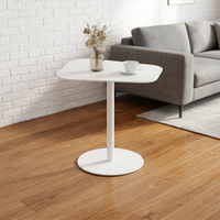 Table en acier métallique au design unique, style moderne, table basse d'appoint pour canapé, table d'appoint en métal adaptée au salon et au jardin
