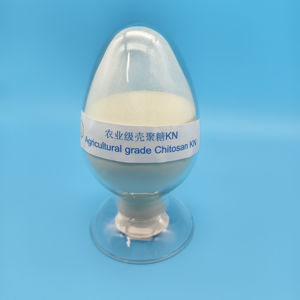 Fertilizzante biologico diretto da fabbrica di grado agricolo Chitosan KN - Product Image 1