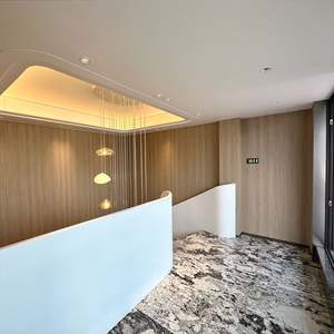 Panneaux muraux intérieurs en placage de bois naturel, panneau mural intégré, porte et armoires de même matériau et de même couleur - Product Image 6