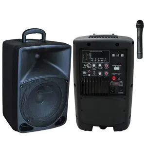 OEM Professional Trolley 15 inch Recharged Amplifier Speaker