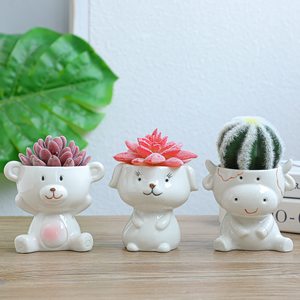 <span class=keywords><strong>Pot</strong></span> à plantes succulentes en céramique pour décoration de jardin bonsaï en forme d'animal - Product Image 6