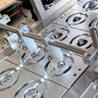 Ligne de production entièrement automatique de capsules de café, machine à fabriquer des capsules de café, machine d'emballage et de conditionnement