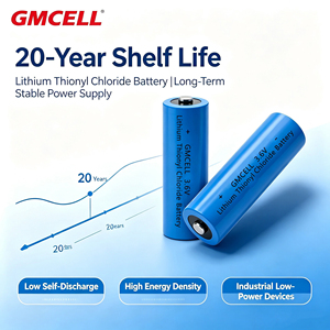 Batterie au lithium jetable ER34615 3.6V 19000mAh en gros pour la surveillance des puits pétroliers, les bouées marines et les détecteurs miniers - Product Image 2