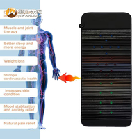 Jiwan Lejia Vente en gros sur mesure Tapis chauffant en pierre à 24 photons LED pour sauna thermique et bien-être