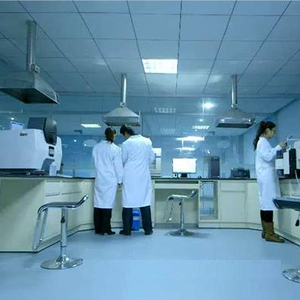 Đường thay thế Maltitol dạng bột, ít calo, thương hiệu FOCUS, cấp thực phẩm, dùng trong chế biến thực phẩm - Product Image 4