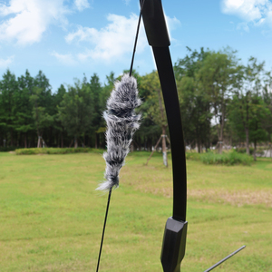 <span class=keywords><strong>Arco</strong></span> Ricurvo Piaoyu di Alta Qualità per Tiro <span class=keywords><strong>e</strong></span> Caccia all'Aperto, 20/30/40 Libbre, con Set di Accessori <span class=keywords><strong>e</strong></span> Frecce - Product Image 5