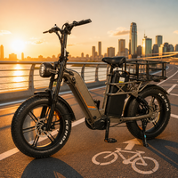 Vélo cargo électrique 48V à double batterie au lithium pour livraison de repas, moteur double 2000W, pneus larges 20 pouces, direct usine