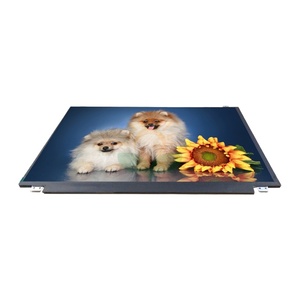 Hdim 15.6 inch <span class=keywords><strong>LCD</strong></span> hiển thị 1920*1080 tùy chỉnh Glass Touch Panel với bảng điều khiển cho máy tính bảng - Product Image 1