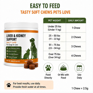 Friandises Tendres Sans Céréales pour Animaux de Compagnie (OEM/ODM) pour le Soutien Immunitaire, Contenant du Chardon-Marie/SAMe, Absorption Rapide et Sûres pour Chats et Chiens - Product Image 5