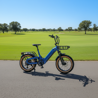 Vélo électrique 20 pouces vintage avec technologie d'assistance au pédalage, vélo de ville à deux roues pour adultes avec pneus larges