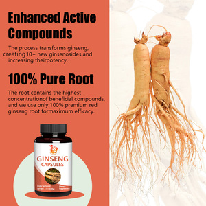 Cápsulas de Ginseng en Venta con Fibra Dietética, Polvo de Raíz de Ginseng, Mejora de la Memoria, Suplementos Herbales Naturales - Product Image 5